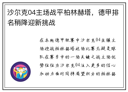 沙尔克04主场战平柏林赫塔，德甲排名稍降迎新挑战