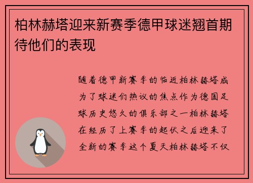 柏林赫塔迎来新赛季德甲球迷翘首期待他们的表现