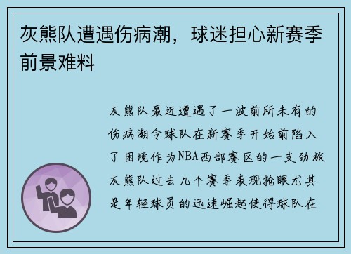 灰熊队遭遇伤病潮，球迷担心新赛季前景难料