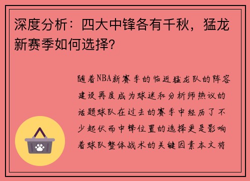 深度分析：四大中锋各有千秋，猛龙新赛季如何选择？