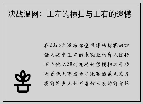 决战温网：王左的横扫与王右的遗憾